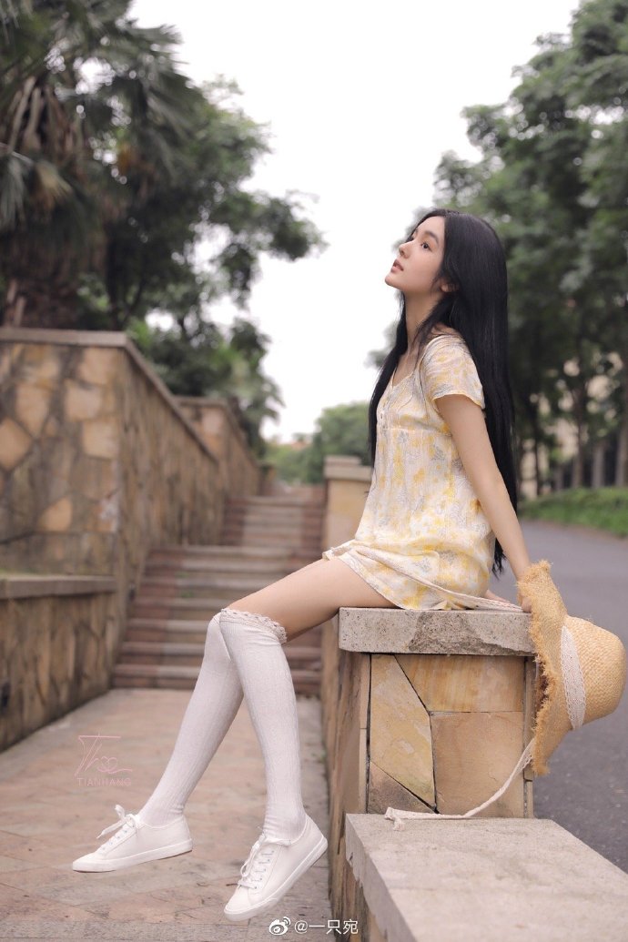 长月烬明 封面