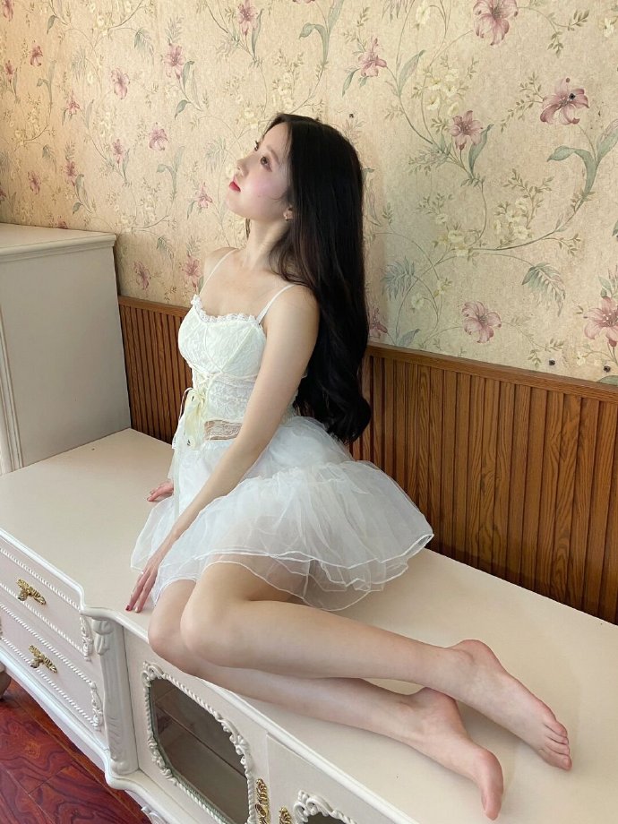燕尾蝶 封面
