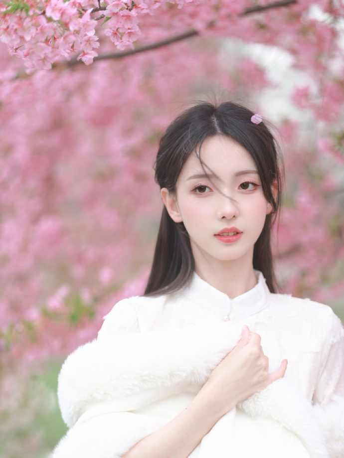 九品芝麻官 封面